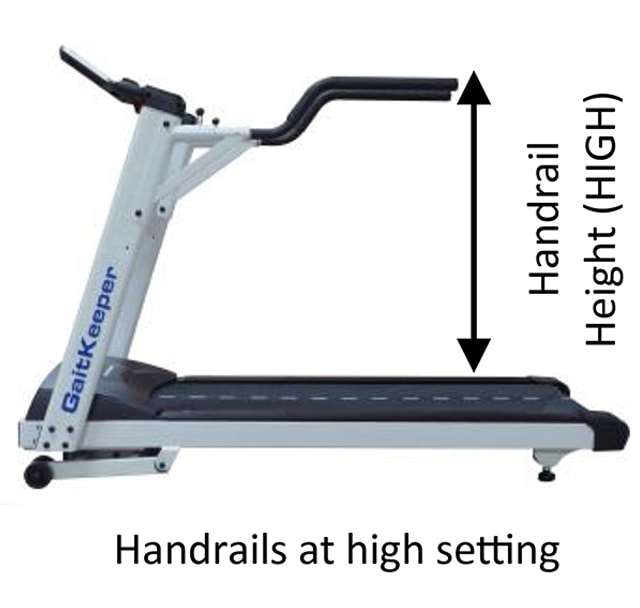 S20 nordictrack online